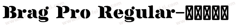 Brag Pro Regular字体转换
